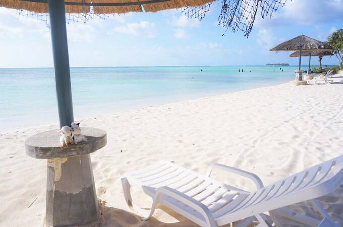 浜辺にパラソルとチェア