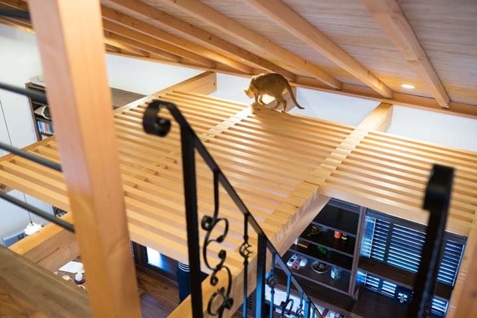 猫寝天井から3Dソフトを使って設計した棚