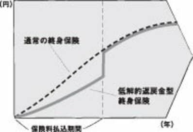 賢く確実に教育費を貯めたい人におすすめ！低解約返戻金型保険のメリットは？