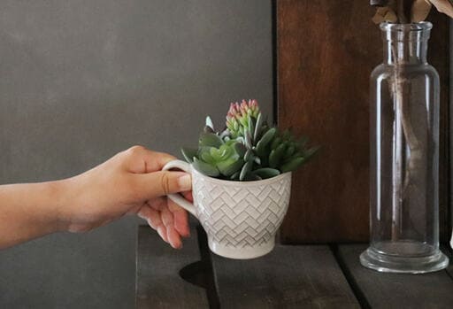 持ち手がついているので移動がラク