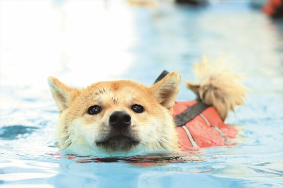 地面に日が当たっていれば、その反射光が目に写り込んでアイキャッチに