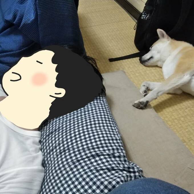 オットの枕元に寝転がるふうちゃん