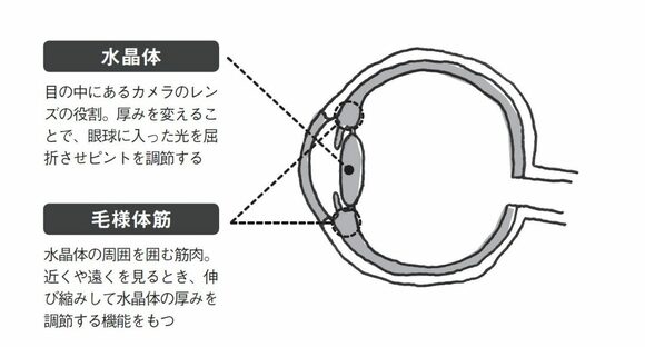 本物の老眼とは別もの。生活習慣を改善すれば治ります