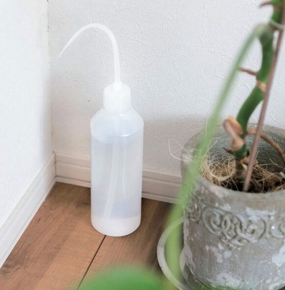 水やりボトルを 鉢の後ろに スタンバイ