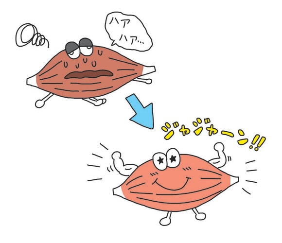 1日3分、3日に1回