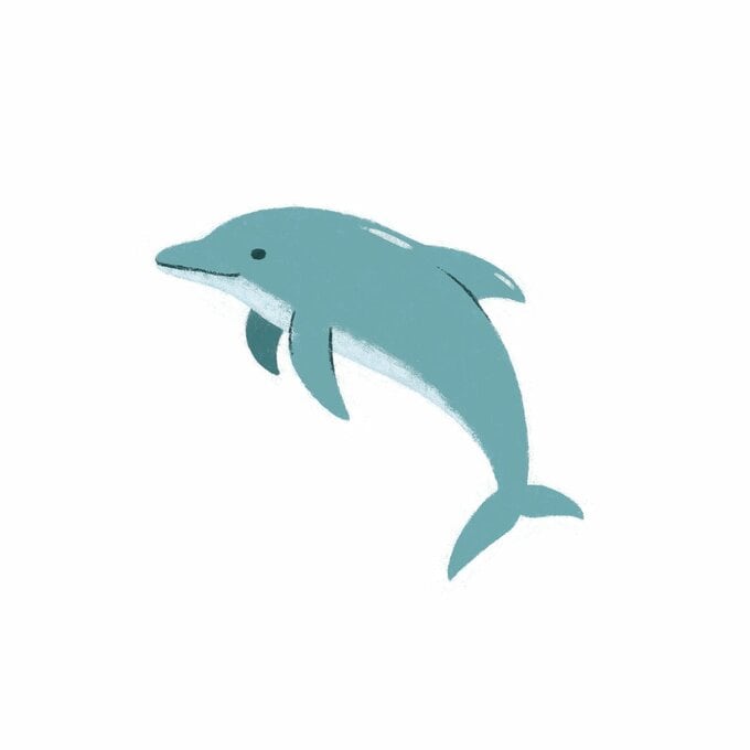 イルカのイラスト