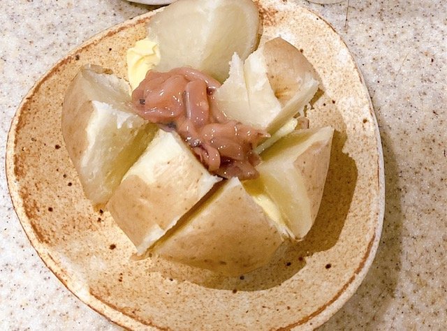塩辛バター