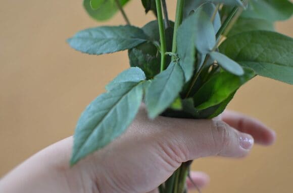 ぴょんぴょんと飛びだすように配置しましょう