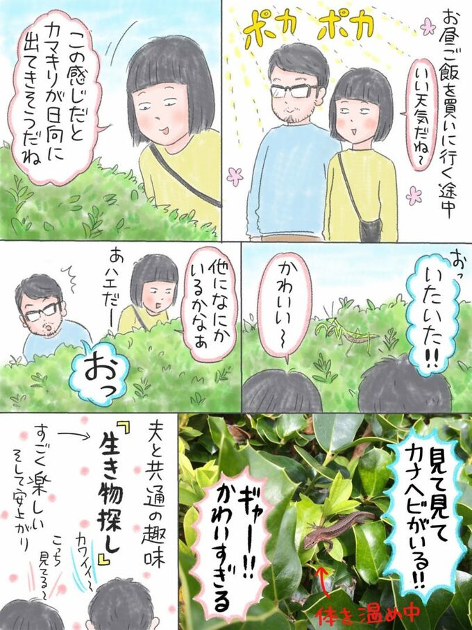 虫観察仲間募集中