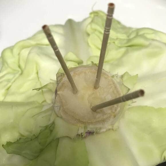 キャベツに爪楊枝