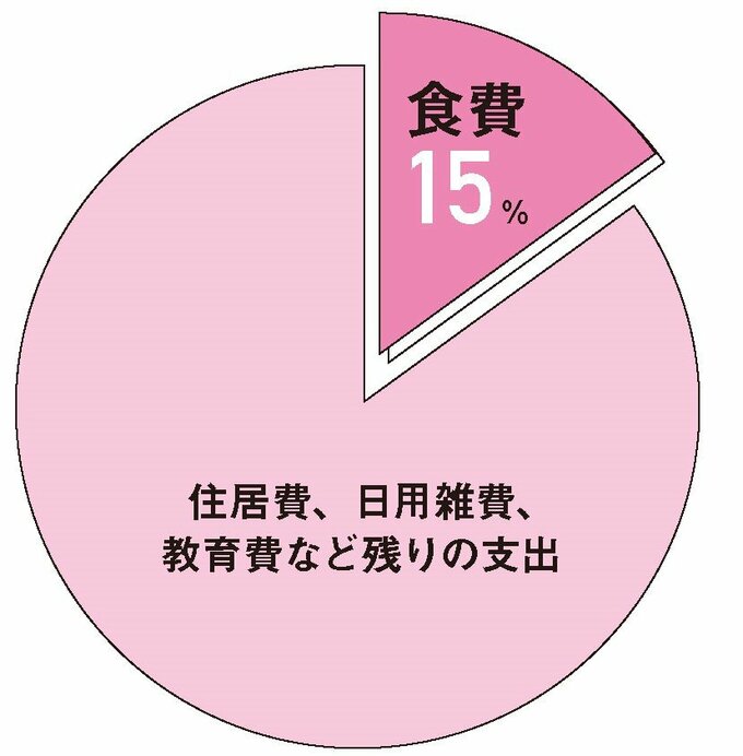 支出バランス円グラフ