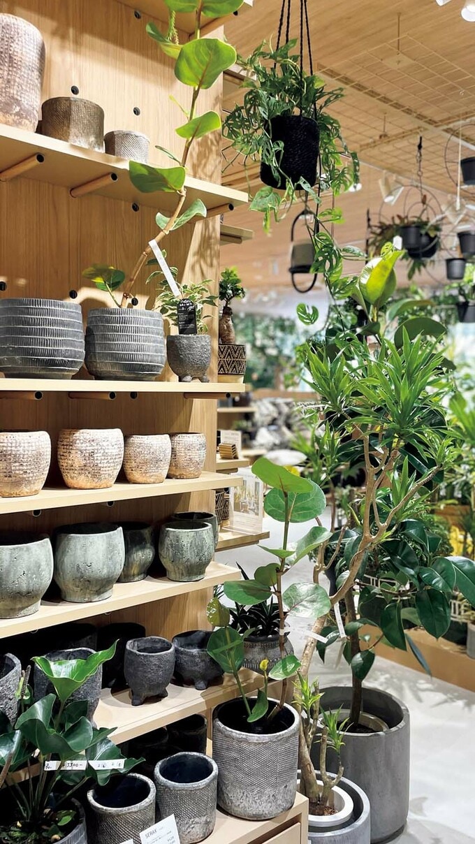 グリーン用のポット