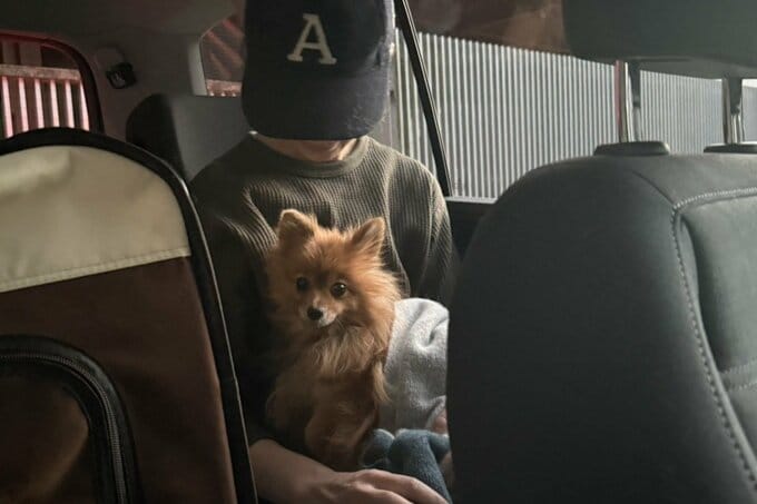 犬を連れて帰るAYUMIさん