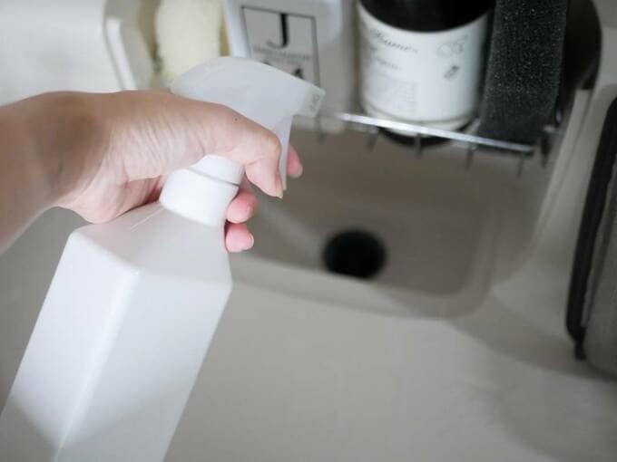 ゴキブリ対策にお手軽ハッカ油スプレー コバエや蚊にも Esseonline エッセ オンライン