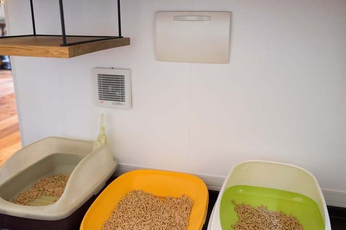 猫トイレ換気扇