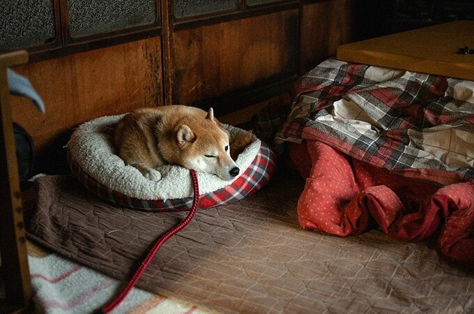 必ず寝床で就寝