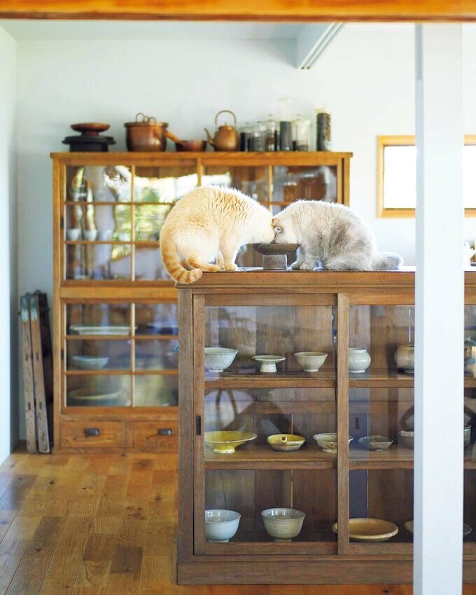 おととすすがおでこをごっつんこしながら食べる