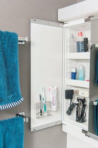 洗面台の棚の扉裏左