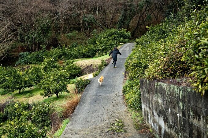 奥に向かって走る女性と犬