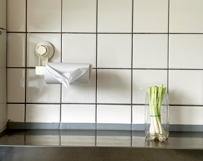 ネギをペットボトルで栽培