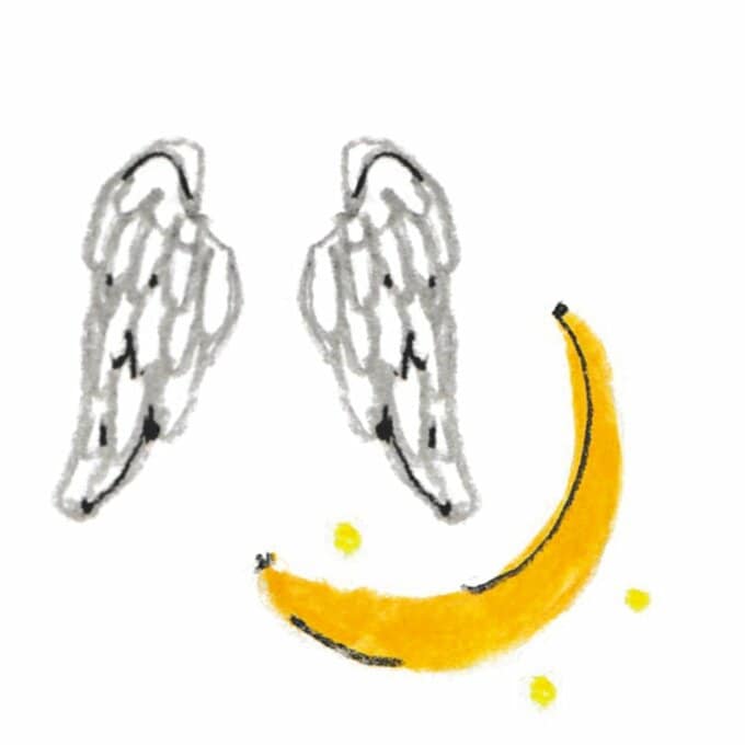 白い羽と黄色い三日月のイラスト