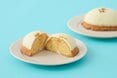 レモンピールがごろっ！しっとり食感がたまらない「はちみつレモンケーキ」は、夏の手土産にぴったり