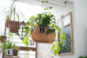 オイルペーパーをかぶせて使う