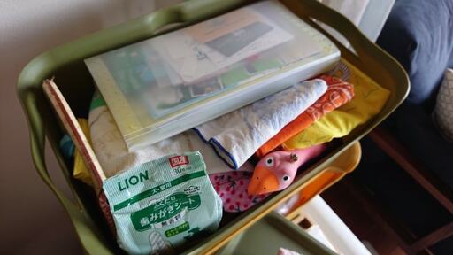 必要頻度が高い犬グッズをひとまとめにしてハウスの上に置く