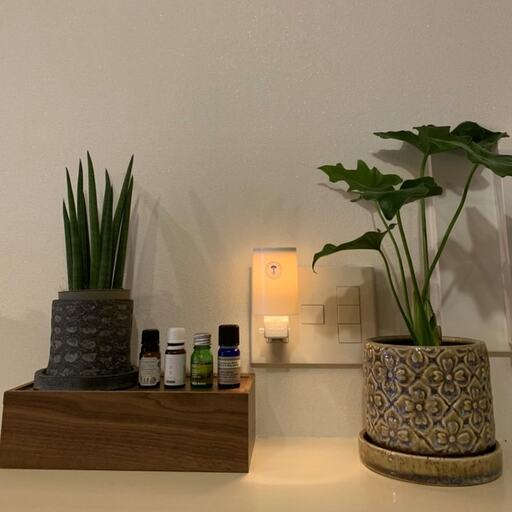 アロマランプと4種の精油