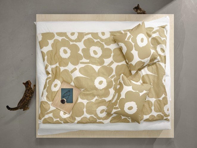 クッションと猫