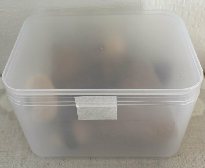 100円ショップの収納ケースにコンパクトに収まります