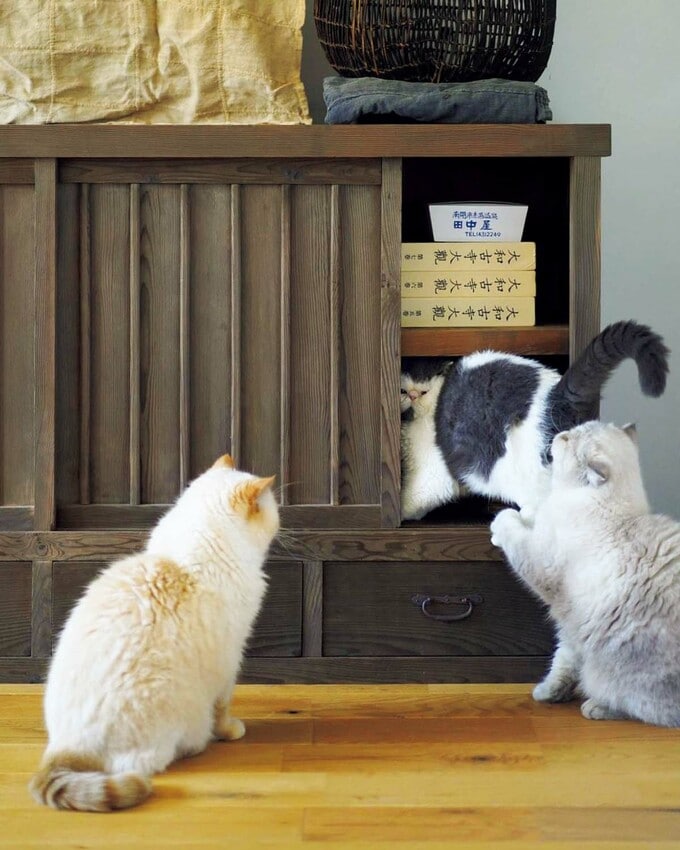 扉が開いているのを発見してすかさず集合