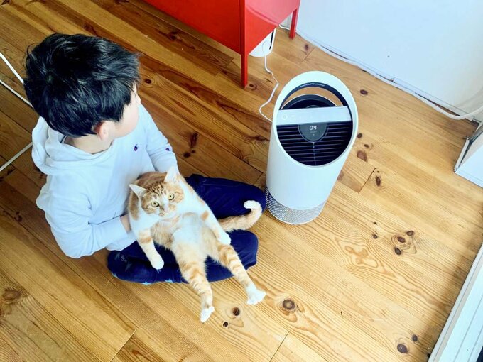 子どもが猫を抱いている様子