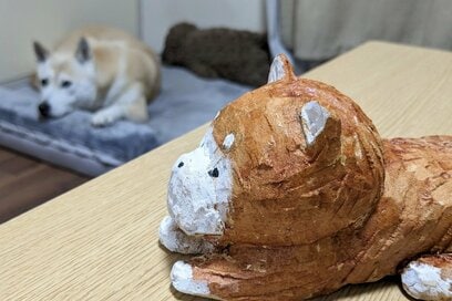 保護犬と暮らし始めて変わったこと。気づけばグッズ量産マシンになっていた…