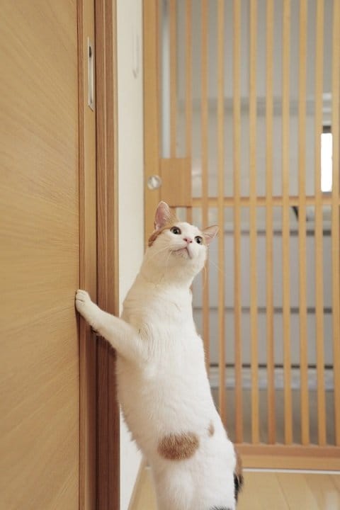 Hさんの家