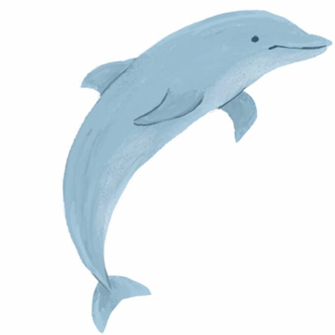 イルカのイラスト