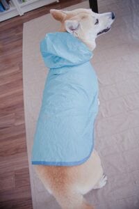 おしりがムチッとしています