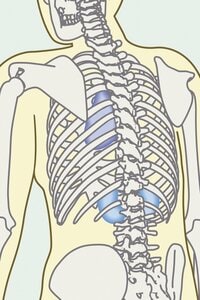 肩甲骨と三角点を深く刺激