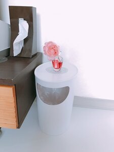 リビングのゴミ箱