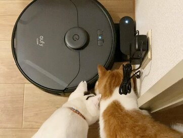 50代、ひとり暮らしが「買ってよかった家電」3選。苦手だった家電がなくてはならない存在に