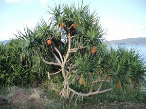 に到着したとたん癒されモードに。