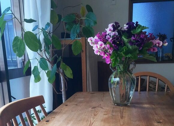 甘いけれど甘すぎない、紫のビオラのおみやげ