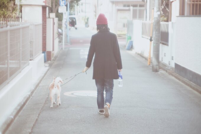 岩沢さんとふうちゃん