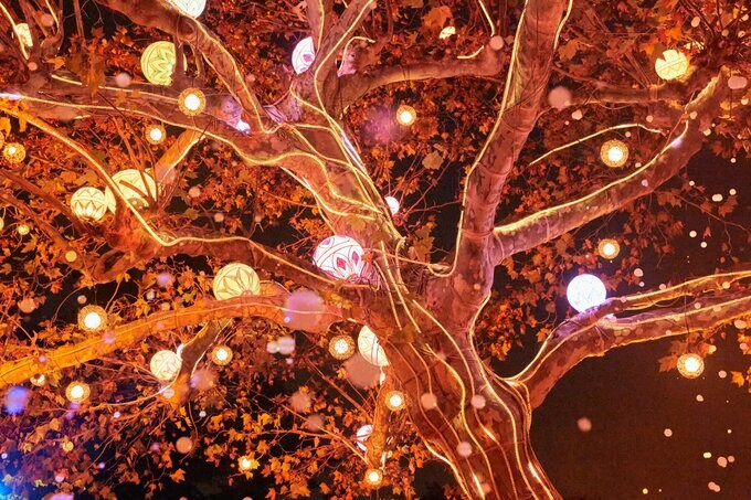 イルミネーション