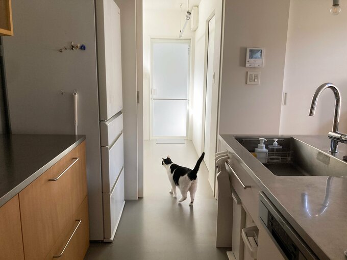 キッチンと洗面所はタイルの床続きで掃除がラクに