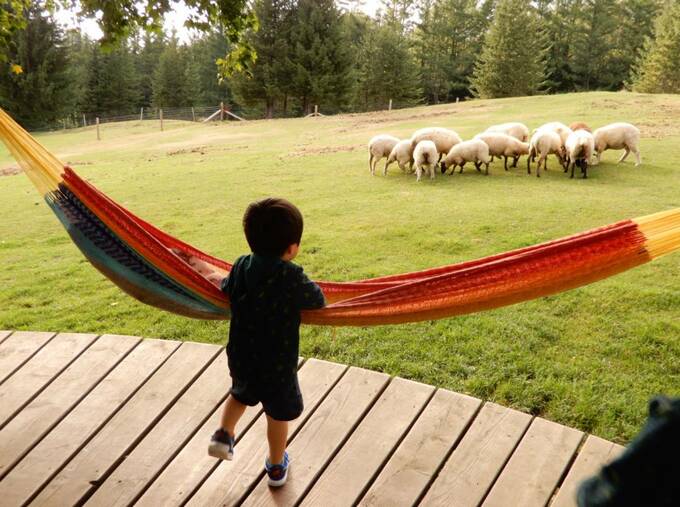 ハンモックと子ども