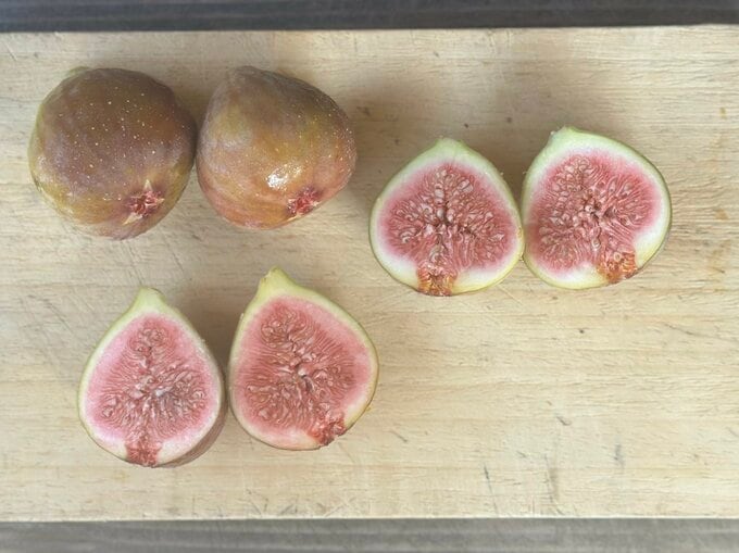 いちじく