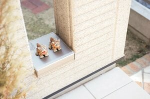 玄関は家の顔。運を招く環境を整えて【玄関】