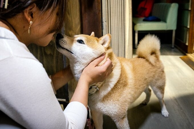 妹の目元に鼻を寄せてすんすんすんすん