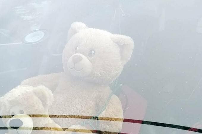 クマのヌイグルミ